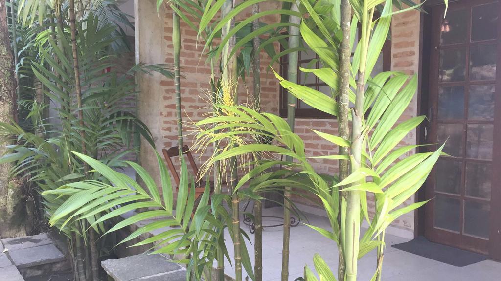 Flats Vila Vitoria Residencial 坎布里 外观 照片